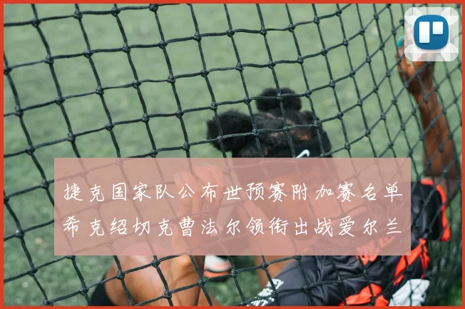捷克国家队公布世预赛附加赛名单希克绍切克曹法尔领衔出战爱尔兰