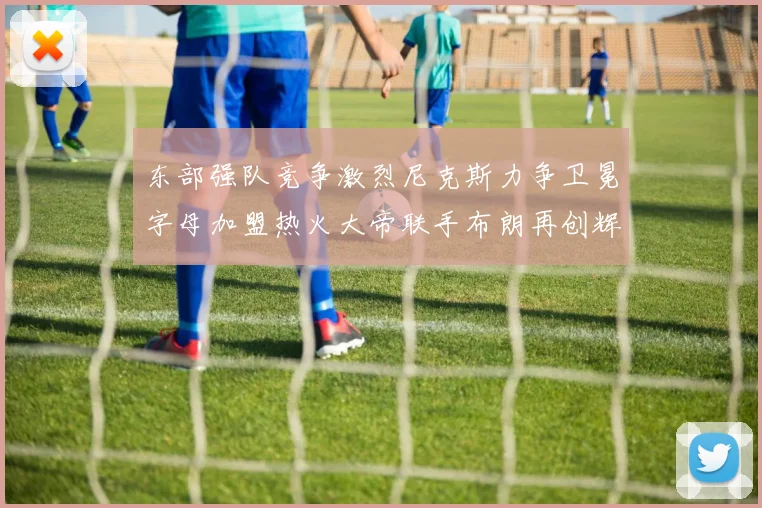 东部强队竞争激烈尼克斯力争卫冕字母加盟热火大帝联手布朗再创辉煌